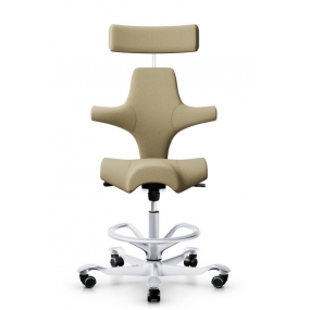 Capisco chair with headrest and circle