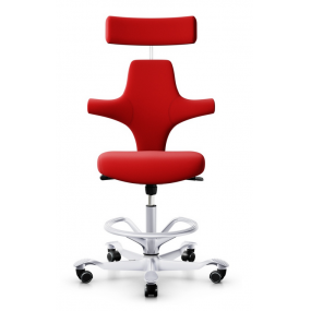Capisco chair with headrest and circle