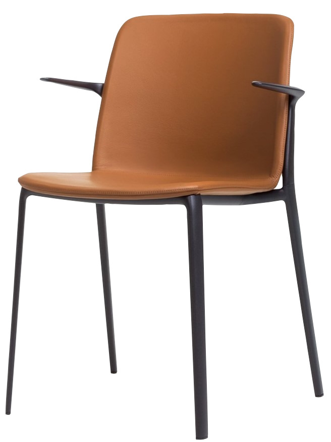 Levně MAXDESIGN - Čalouněná židle s područkami APPIA 5041