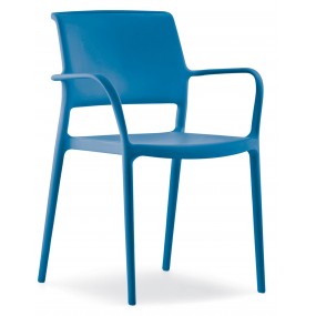 Chair Ara 315 - DS