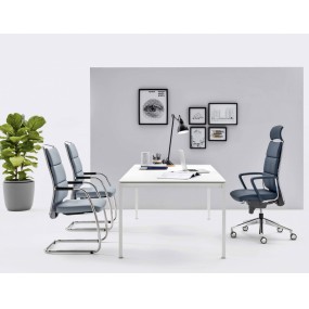 Office chair Link Xplus with fixed arms