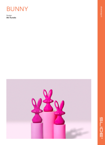 BUNNY _ COSMO BUNNY.pdf