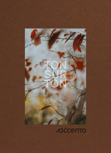 Accento-Ton-Sur-Ton.pdf