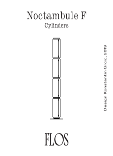 Mounting_Instruction_NOCTAMBULE_F_Cylinders_31473.pdf
