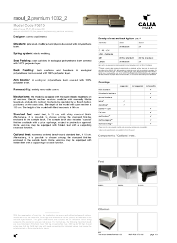 RAOUL_SCHEDA_SFOD_EN.PDF