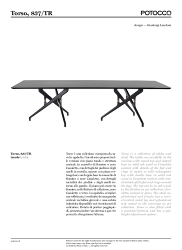 POTOCCO_TORSO 837 TR.pdf