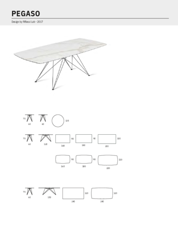 pegaso_ceramica.pdf