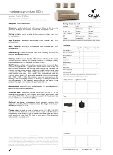 MADONNA_SCHEDA_EN.pdf