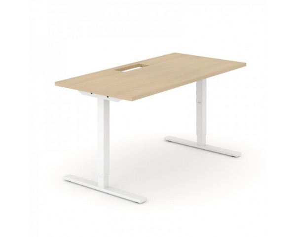 Height adjustable table ONE H 160x80 cm
