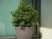 Design planter ETRIA UNO, Ø 44 x 36 cm - grey - 2