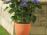 Design planter ETRIA, Ø 64 x 52 cm - brick - 2