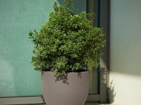 Design planter ETRIA, Ø 74 x 61 cm - brown - 3