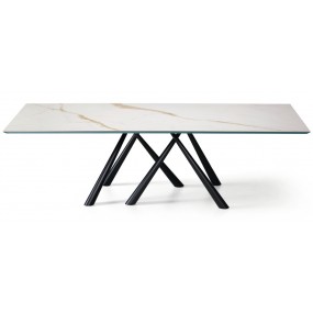 FOREST table