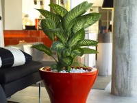 CENTRO ALTO planter (+ lighted and self-watering version) - 2