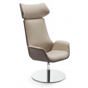 KRITERIA armchair stainless steel base two-colour