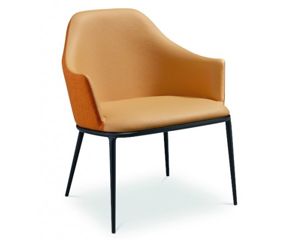 Two-colour armchair LEA