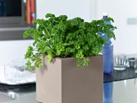 Design planter MINI KUBE, 20 x 20 cm - grey - 2