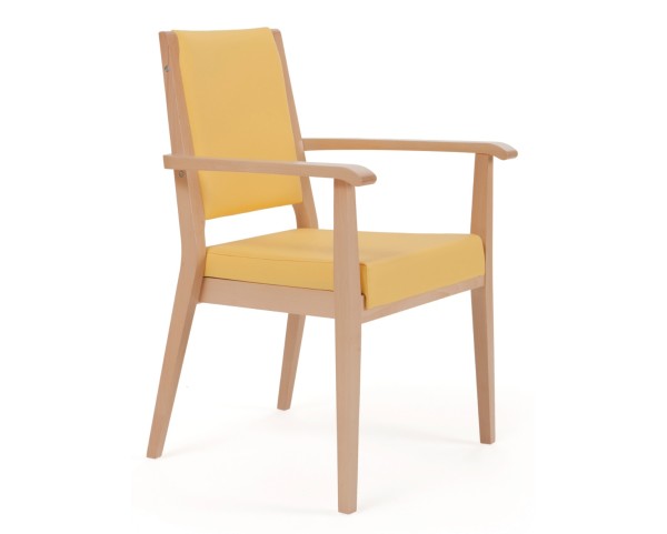 Chair AERO 56-15/1 with armrests