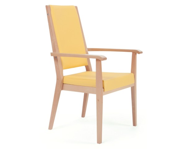Židle AERO 56-25/1 s područkami - vyšší