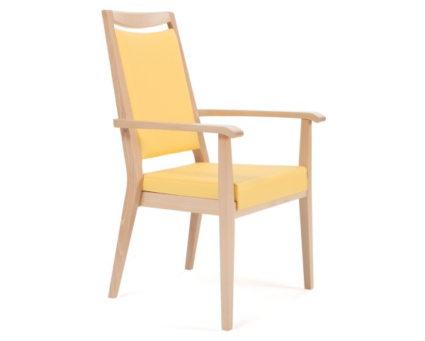 Chair AERO 56-25/6 with armrests - higher