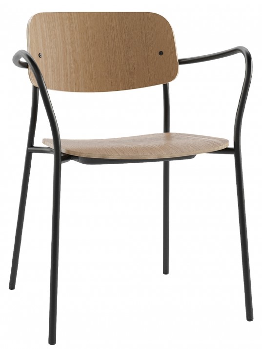 Levně COLOS - Židle s područkami DAILY 2