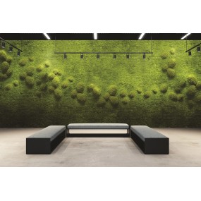 Semi-natural green wall LICHEN W/DUNES - price per 1m²