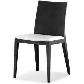 Chair TWIG 429 - DS
